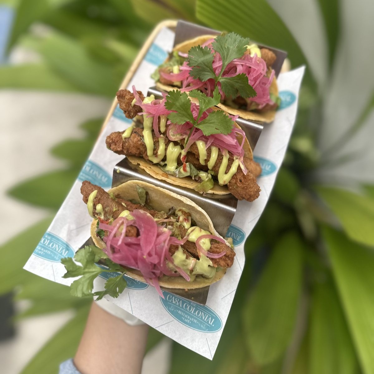 Tacos de Pescado