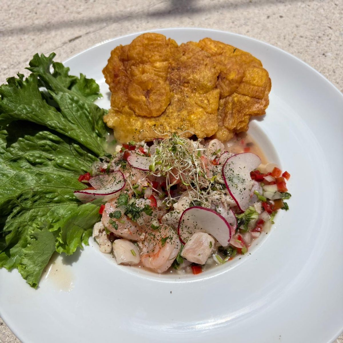 Ceviche Mixto