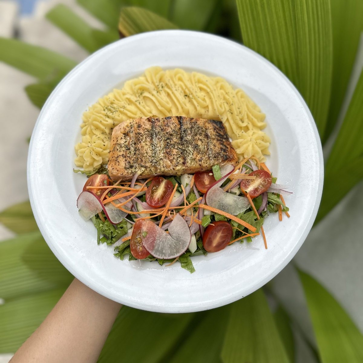 Salmón en Salsa Hierbas