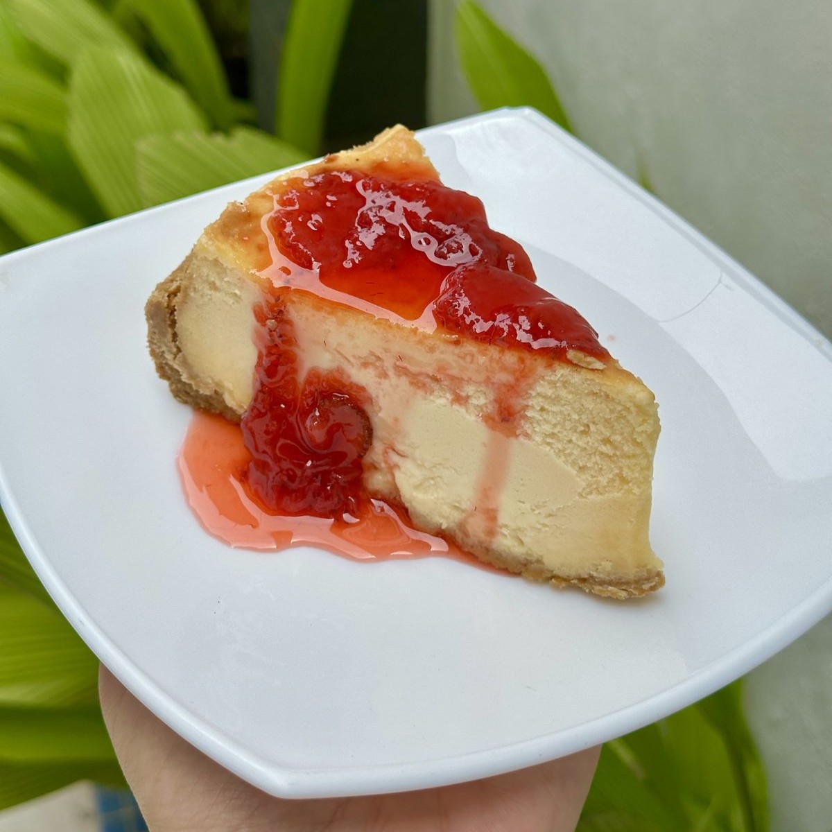Cheese Cake Fresa